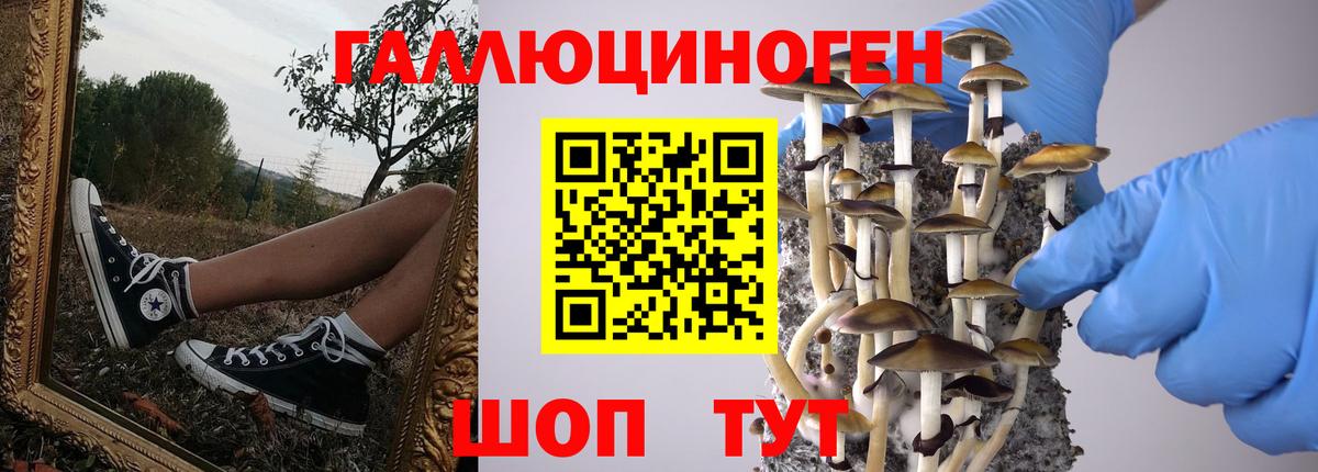 Галлюциногенные грибы мицелий Брянск