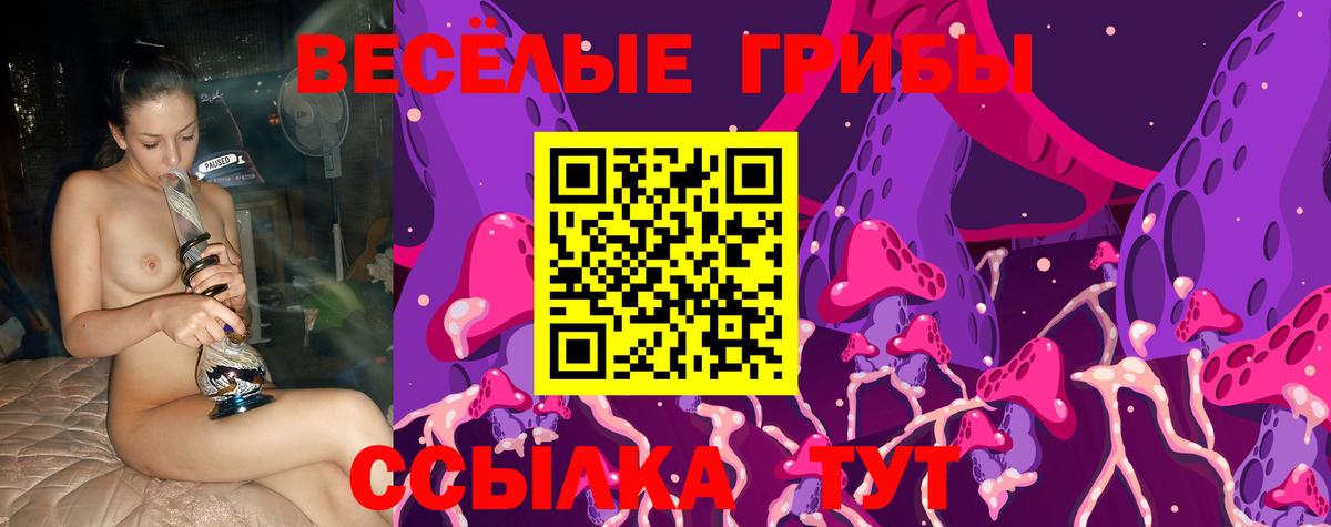 Псилоцибиновые грибы Psilocybine cubensis  Галлюциногенные грибы MAGIC MUSHROOMS  Брянск  Вход с VPN 